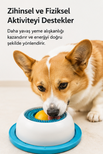 Yalama Kasesi | Yavaş Besleme, Ödül ve Yoğurt Kasesi | Kedi ve Köpekler İçin 2'li Set